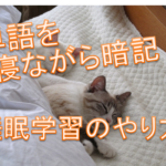 睡眠学習の矢r方、単語の暗記と寝ている猫の画像